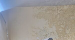 25 हजार के इनामी गौ तस्कर विनोद से पट्टी में मुठभेड़..! पढ़ें पूरी खबर क्या है मामला