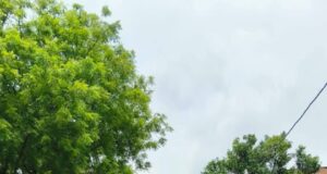 Pratapgarh तिरंगा यात्रा में उमड़ा हुजूम श्यामू ओझा ने निकाली यात्रा पढ़ें पूरी खबर