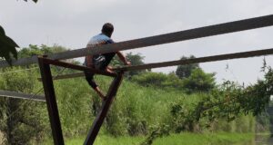 सांसद–विधायक ने मुंह मोड़ा, तो जनता ने संभाली जिम्मेदारी: बकुलाही नदी पर खुद बनाने लगे पुल लोगो से मदद की अपील की