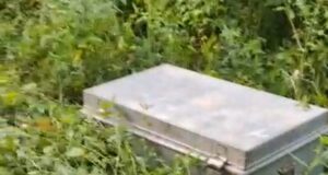 दिनदहाड़े जेवरात और नकदी की चोरी, इलाके में मचा हड़कंप