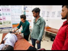 मधुमक्खियों के हमले से अधेड़ गंभीर, ट्रामा सेंटर में भर्ती