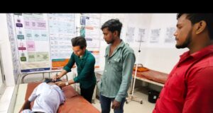 मधुमक्खियों के हमले से अधेड़ गंभीर, ट्रामा सेंटर में भर्ती