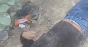 प्रतापगढ़: कटरा मेदनीगंज में झाड़ियों से युवक का शव बरामद, मोबाइल से हुई पहचान