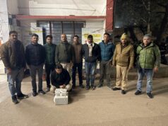 STF को मिली बड़ी सफलता, फर्जी मेडिकल डिग्री गिरोह का भंडाफोड़, सरगना गिरफ्तार